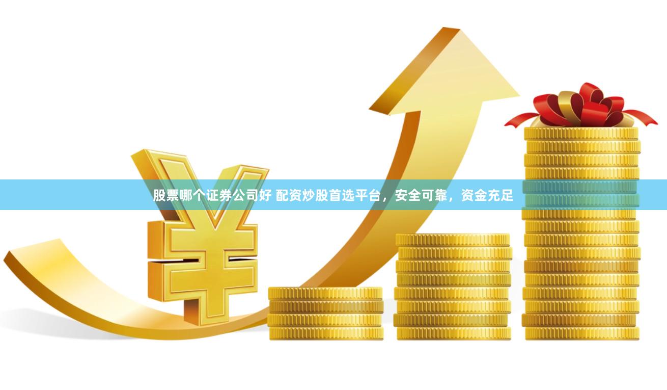 股票哪个证券公司好 配资炒股首选平台，安全可靠，资金充足